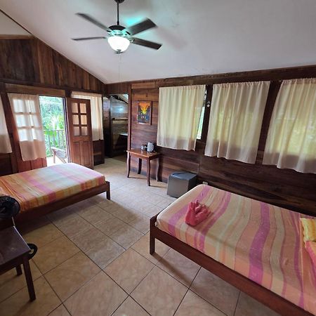 Perla Negra Beachfront Puerto Viejo de Talamanca Exterior foto