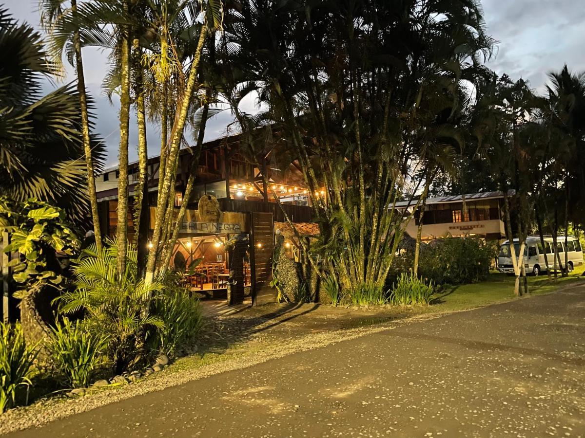 Perla Negra Beachfront Puerto Viejo de Talamanca Exterior foto