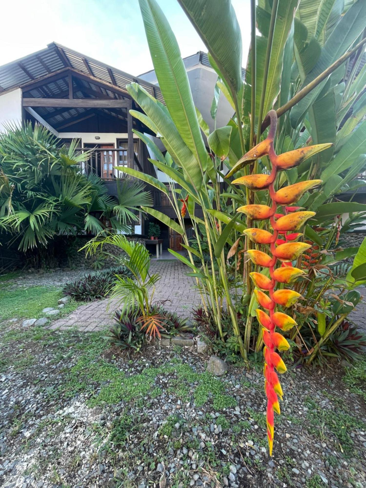Perla Negra Beachfront Puerto Viejo de Talamanca Exterior foto